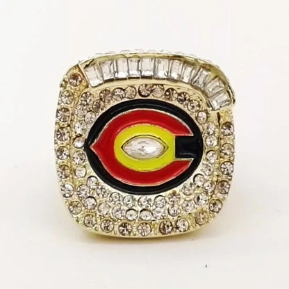 Chicago Bears NFL Championship Ring (2006) NFC