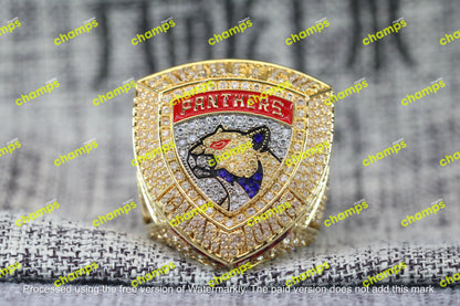 Florida Panthers Stanley Cup Championship Ring Set (2024, 2025)