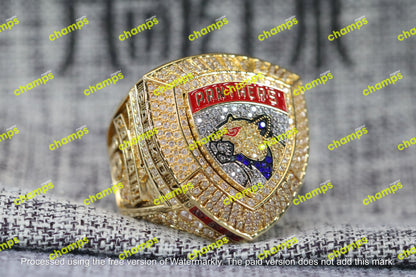Florida Panthers Stanley Cup Championship Ring Set (2024, 2025)